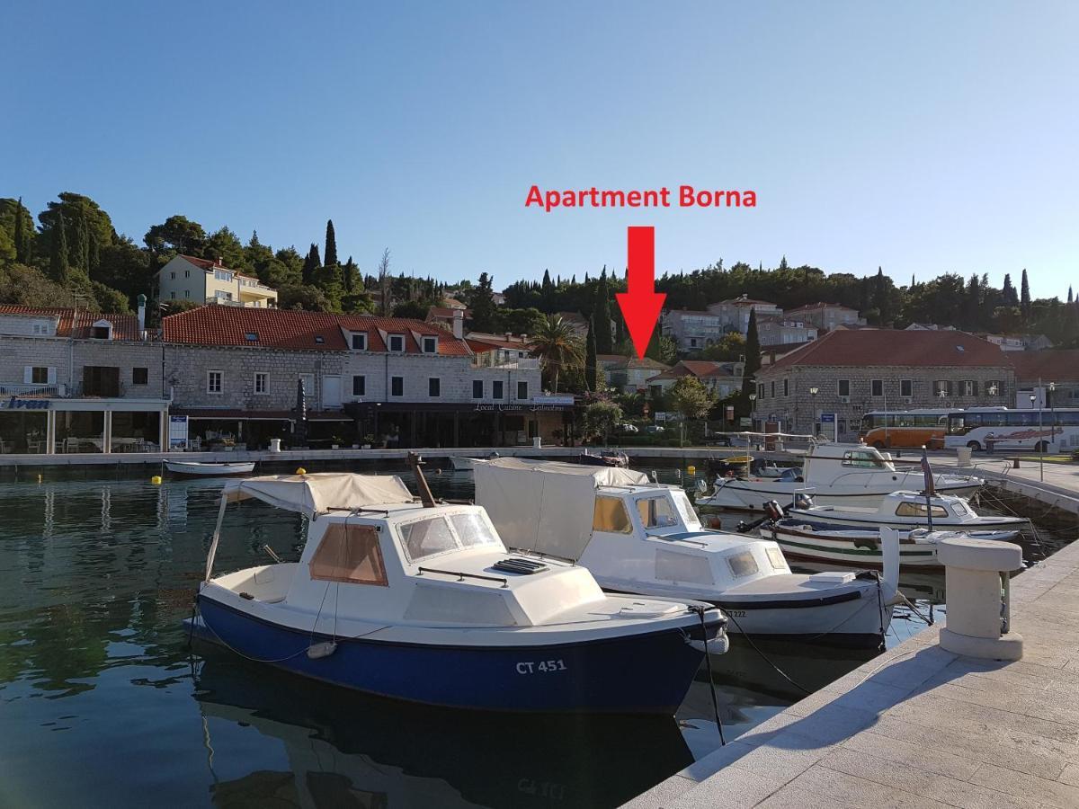 Apartment Borna Cavtat Dış mekan fotoğraf