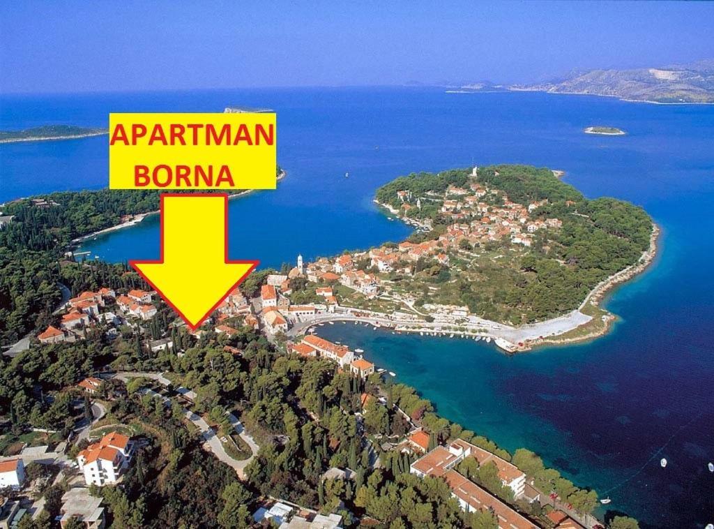 Apartment Borna Cavtat Dış mekan fotoğraf